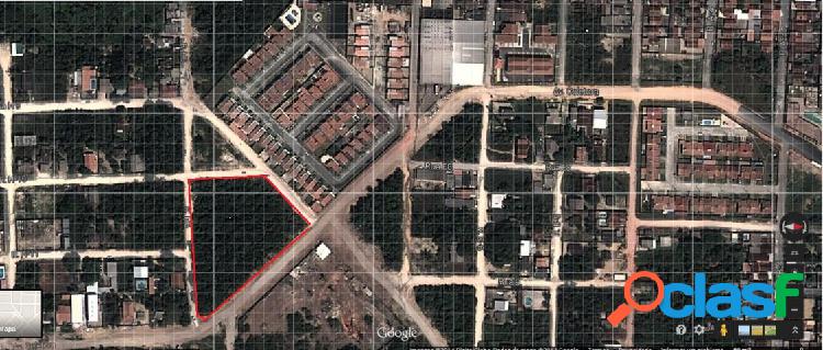 Terreno - Venda - Manaus - AM - Novo Aleixo