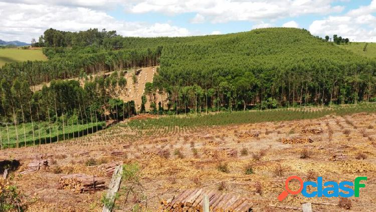 Terreno - Venda - Pinhalzinho - SP - Cachoerinha