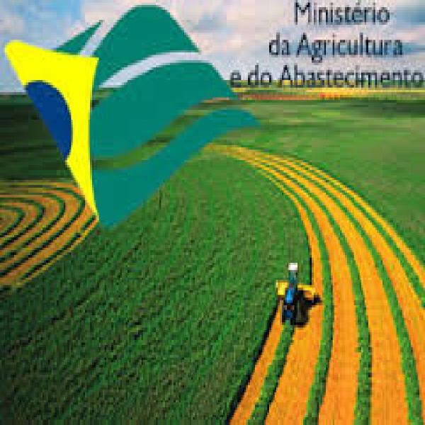 Assessoria junto ao MAPA Ministério da Agricultura