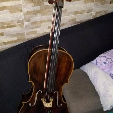 Cello. igor c200