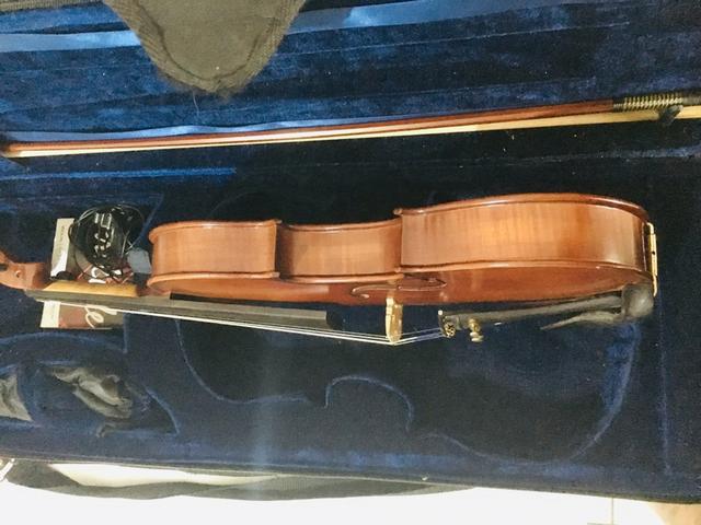 Violino VE 244 + brinde