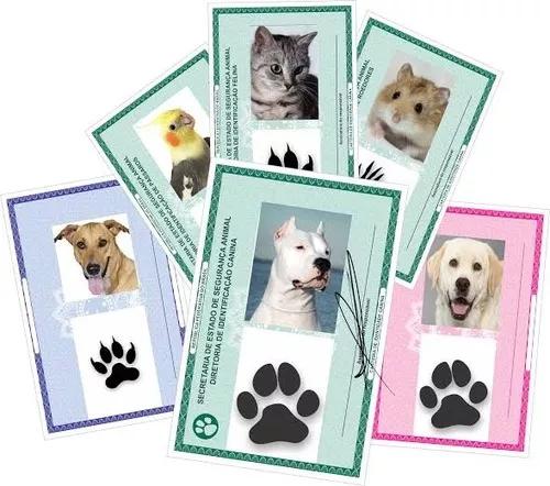 Carteira de identidade Para Pet