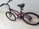 Bicicleta Aro 26 Caloi 500 Sport SW - Roxa