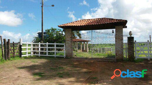 Fazenda em Alagoas com 1.500 tarefas - Fazenda a Venda no