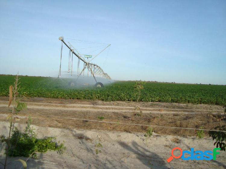 Fazenda em São Romão 542 hectares - Fazenda a Venda no