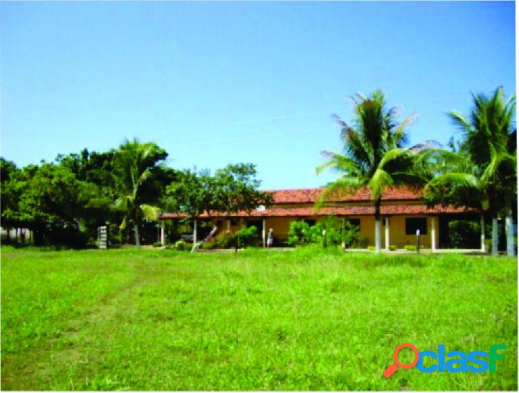 Fazenda em Várzea da Palma - Fazenda a Venda no bairro Zona