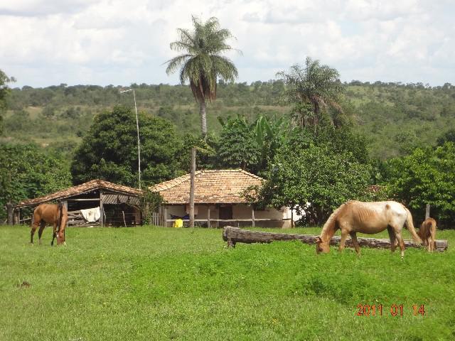 Fazenda131 ha em Santa Fé de Minas por 250 mil