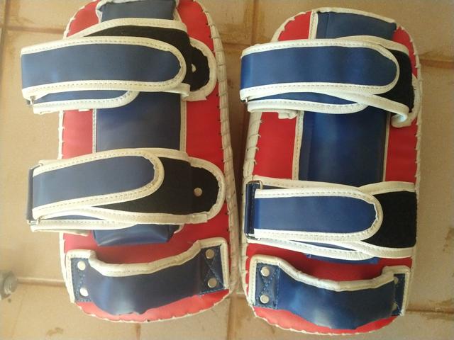 Aparador de chutes Rex - Thai Pads