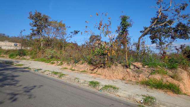Lote, Jardim Nazareno