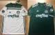 Camisas Palmeiras