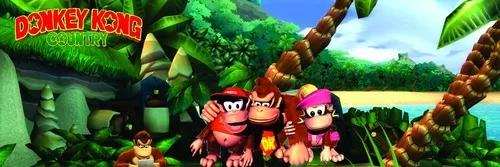 Fliperama Portátil Óptico Donkey Kong 13 Mil Jogos 64gb