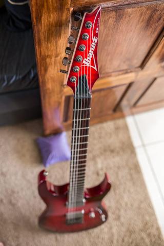 Ibanez FEQM USA