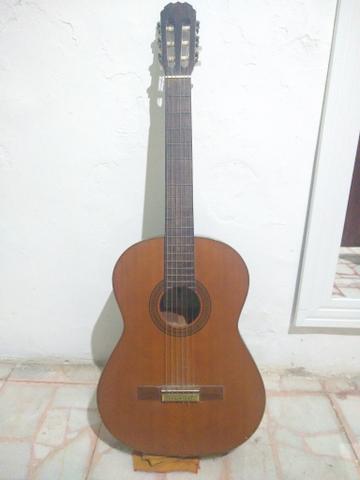 Violao