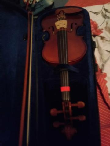 Violino