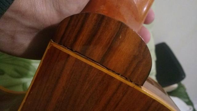 Violão Di Giorgio eletrônico