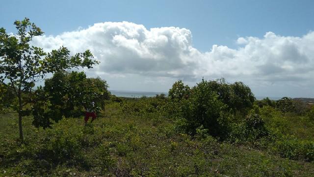 Terrenos com vista para o mar