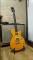 Guitarra Epiphone Special II Afd Slash SIgnature