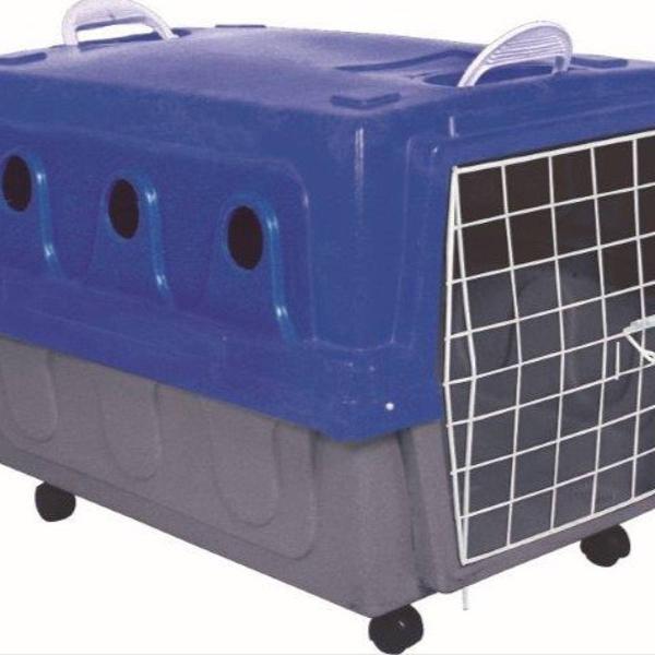caixa transporte cães