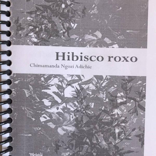cópia do livro hibisco roxo