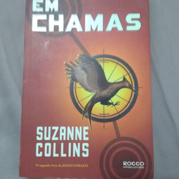 livro em chamas