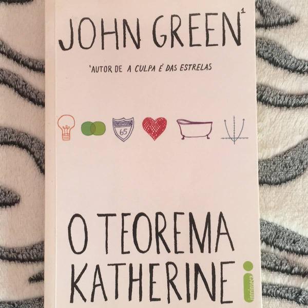 livro o teorema katherine