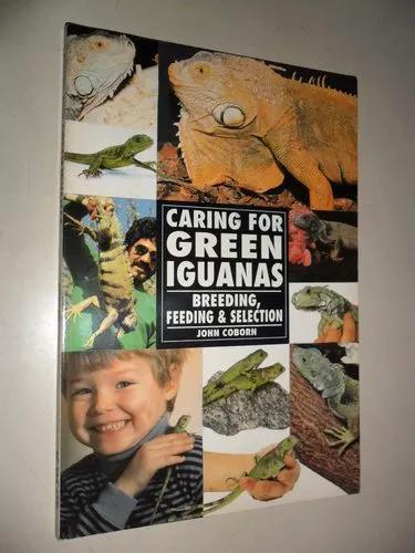 Caring For Green Iguanas - Breeding, Feeding & Selection