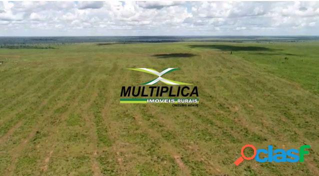 Fazenda para arrendamento no Xingu Mato Grosso - MT