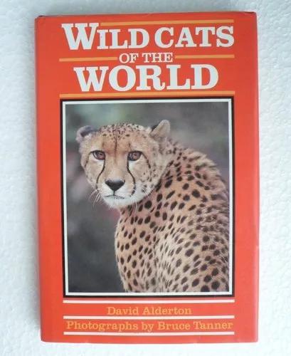 Livro Wildcats Of The World - Felinos Selvagens - Ilustrado