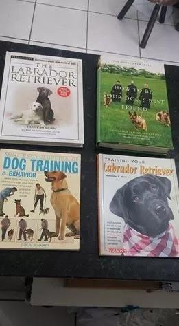 Livros Dog Training/labrador Retriever/how To Be Your Dog...