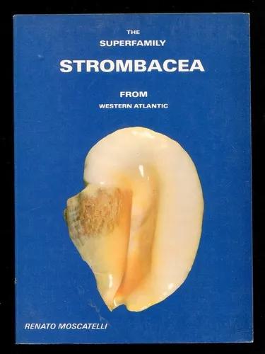 The Superfamily Strombacea W. Atlantic Frete Grátis -