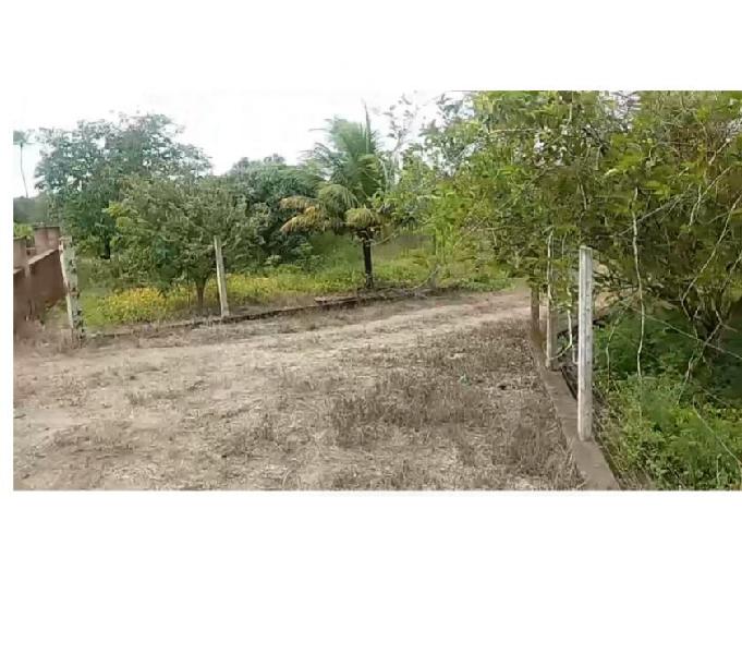 tima propriedade em Glória de Goitá, com 1,5 hectare