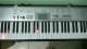 Teclado musical Casio LK-130 + suporte