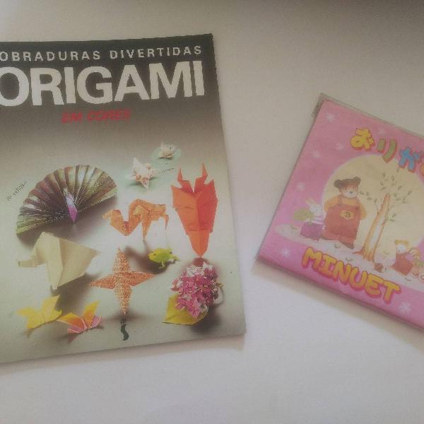 livro de origami (arte em dobradura de papel)