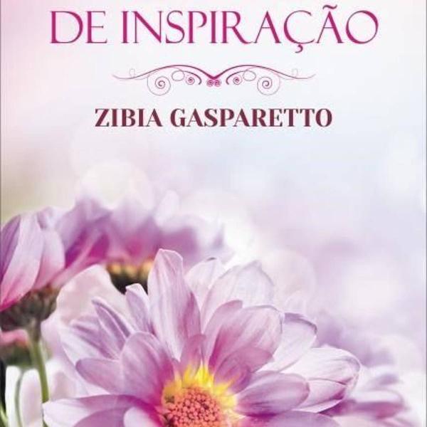 livro momentos de inspiração - zibia gasparetto