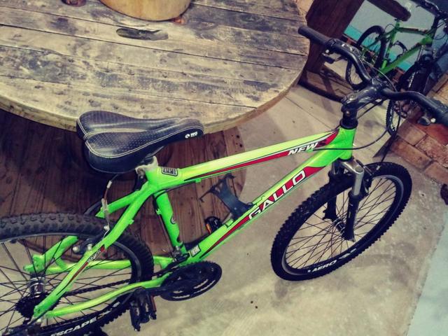 Bicicleta new gallo 26