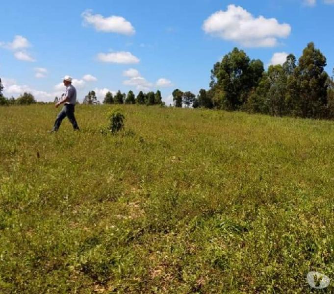 Fazenda 92000m² - CultivoGado - Oportunidade Barato!