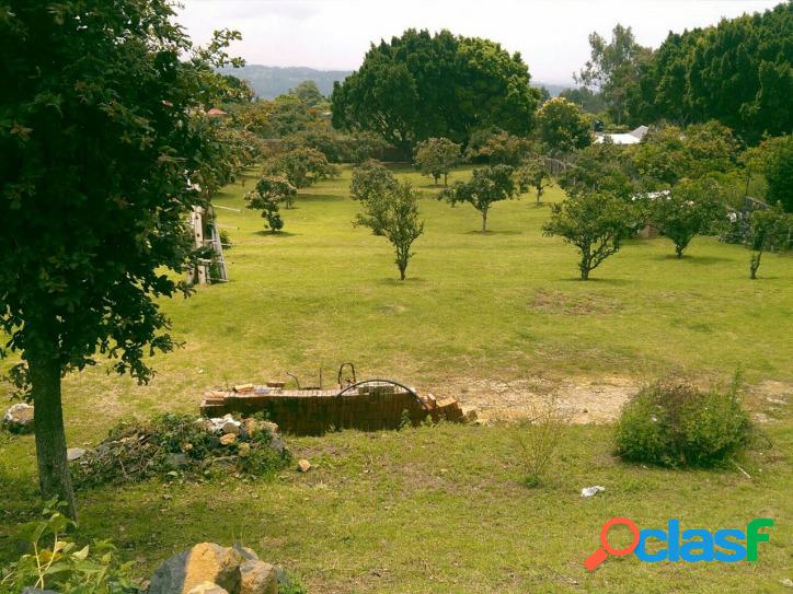 TERRENOS CONTIGUOS EN SAN MIGUEL NEPANTLA