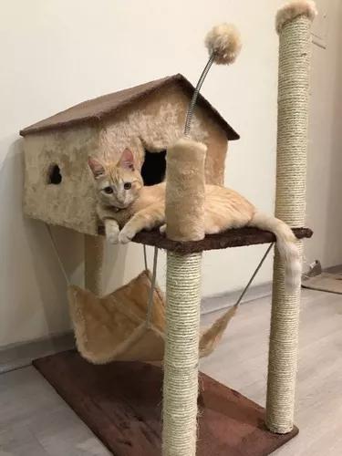 Arranhador De Gato Casa Com Rede