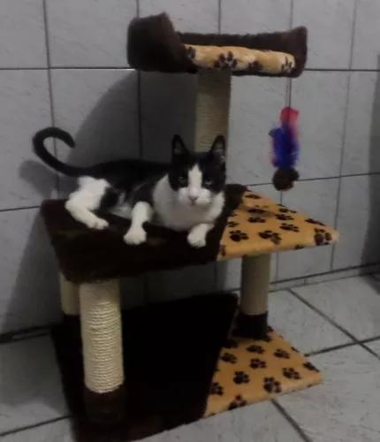 Arranhador Para Gatos Com Banco E Brinquedo