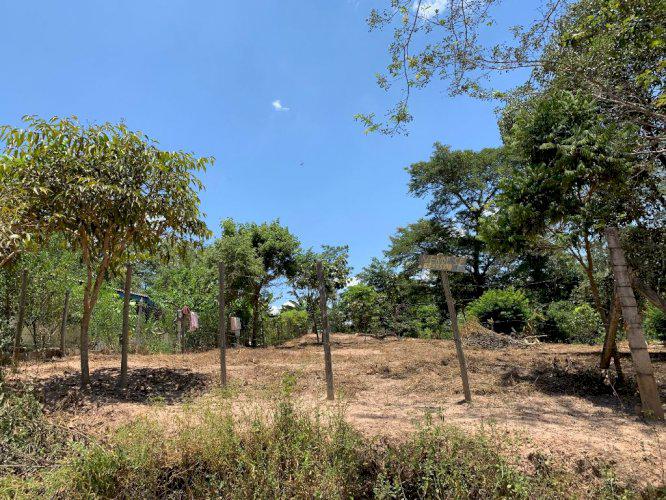 2 LOTES BAIRRO CASTELO BRANCO EM JUATUBA COM AREA VERDE