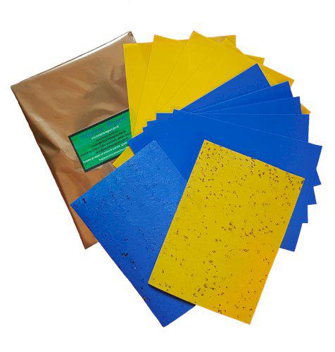 Armadilhas adesivas contra insetos, azul, amarela