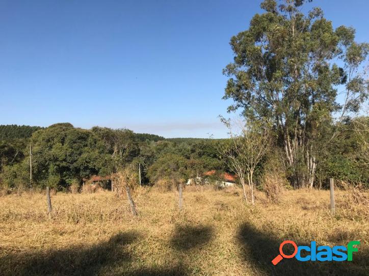 Sítio com 4 Alqueires em Jacuba - NEGÓCIO DE OCASIÃO