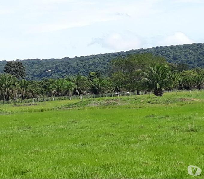 Sitio em Mimoso 40 hectares