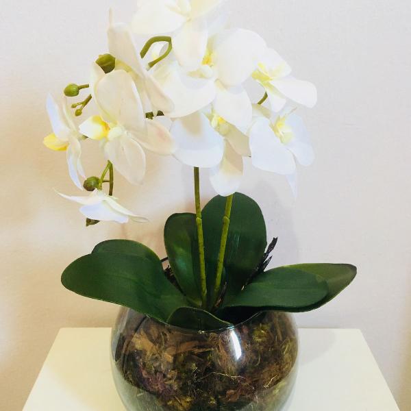 arranjo de orquídeas