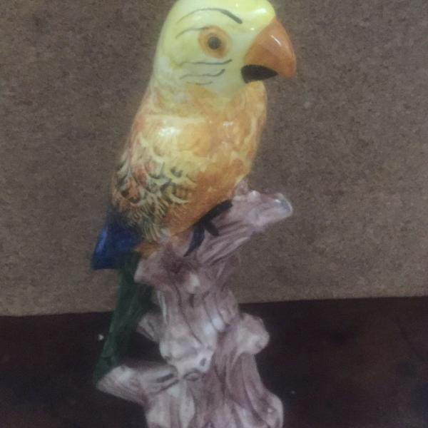 papagaio porcelana
