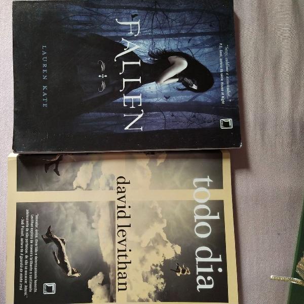 Livro "Todo dia" e "Fallen"