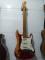 Squier california series relic