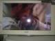 TV CCE 24" LED digital. aceito cartao