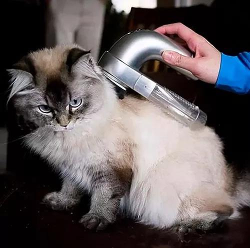 Escova Elétrica Aspirador Suga Pelo Pet Cachorro E Gato