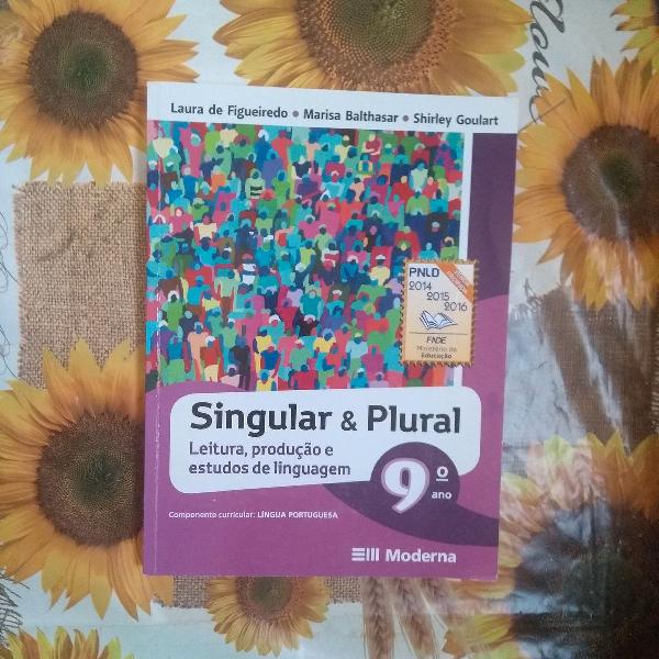 singular e plural 9 ano